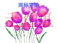 商標(biāo)變更的保護(hù)措施和申請(qǐng)方式的解說(shuō)?