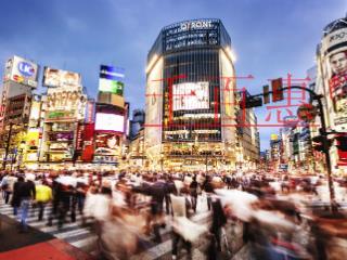 食品安全、汽車行業(yè)質(zhì)量、醫(yī)療器械質(zhì)量管理體系認證