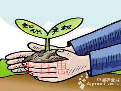 2019年中央一號文件:加強(qiáng)農(nóng)業(yè)領(lǐng)域知識產(chǎn)權(quán)創(chuàng)造與 2019年中央一號文件:加強(qiáng)農(nóng)業(yè)領(lǐng)域知識產(chǎn)權(quán)創(chuàng)造與